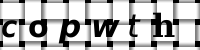 CAPTCHA image