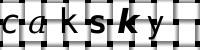 CAPTCHA image