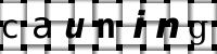 CAPTCHA image
