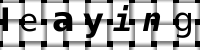 CAPTCHA image
