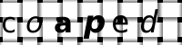 CAPTCHA image